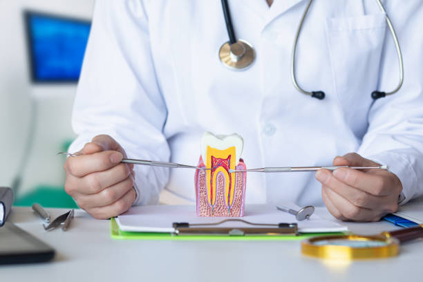 Best Emergency Dental Care for Broken or Chipped Teeth in Godley, TX